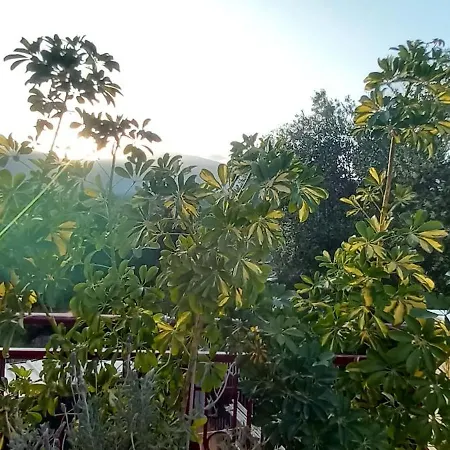 بيت ضيافة Nightflower سامي