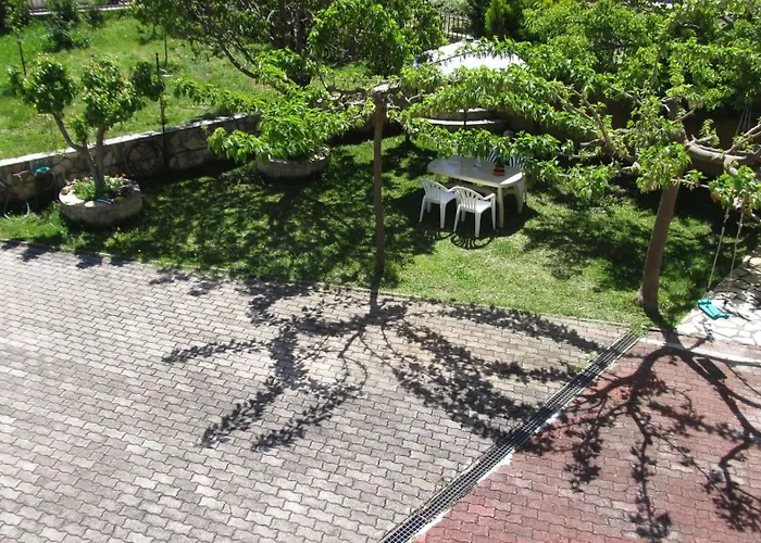 Nightflower 3* Számi