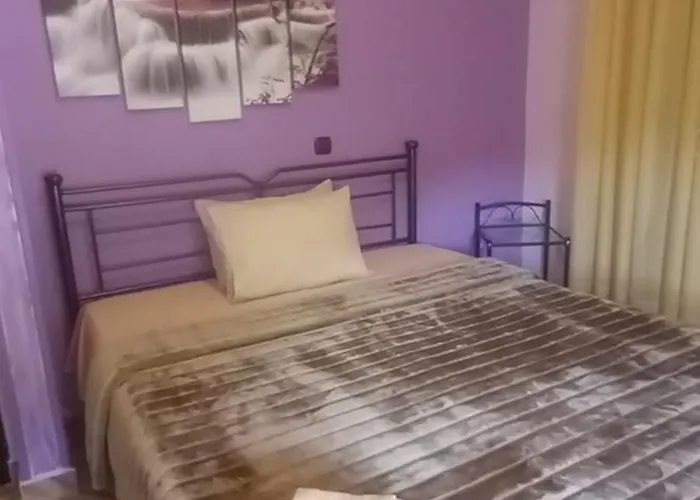 Nightflower 3* سامي